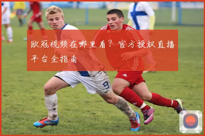 欧冠视频在哪里看？官方授权直播平台全指南