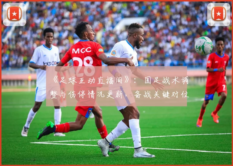 《足球互动直播间》：国足战术调整与伤停情况更新，备战关键对位与阵容看点