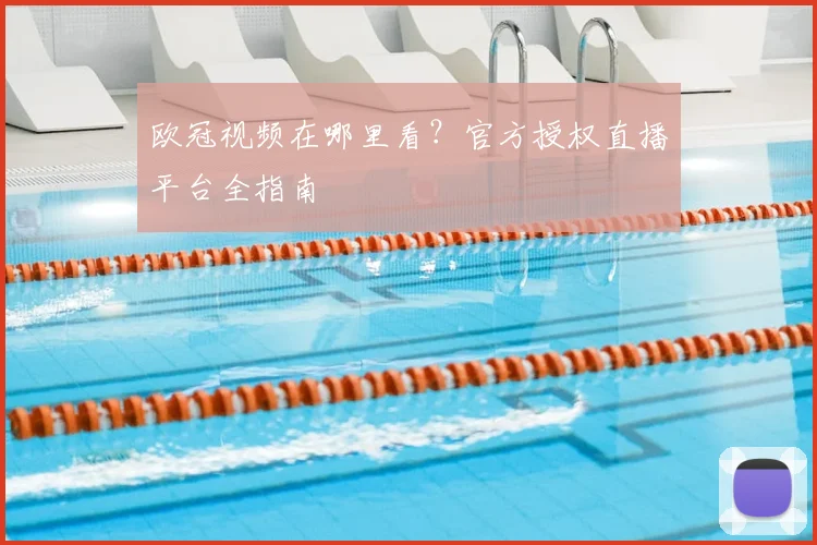 欧冠视频在哪里看？官方授权直播平台全指南