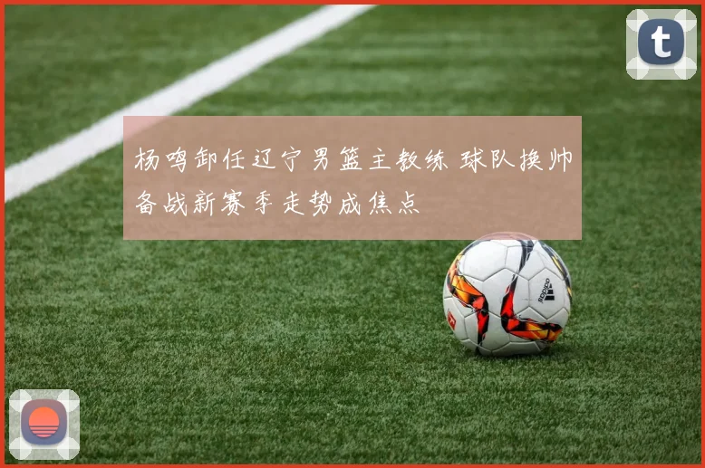 杨鸣卸任辽宁男篮主教练 球队换帅备战新赛季走势成焦点